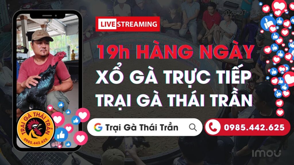 Video ngày 29/8 – Trại Gà Thái Trần